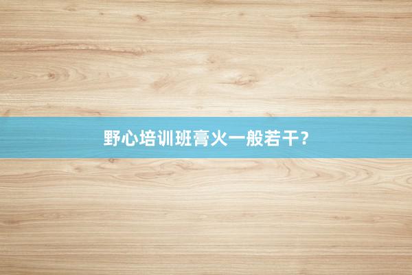 野心培训班膏火一般若干?