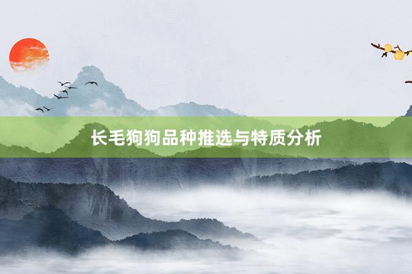 长毛狗狗品种推选与特质分析